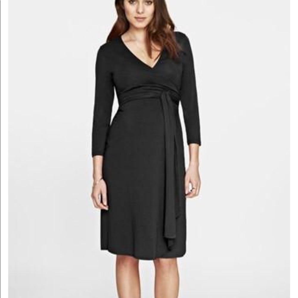 Isabella Oliver Maternity/Nursing Dress